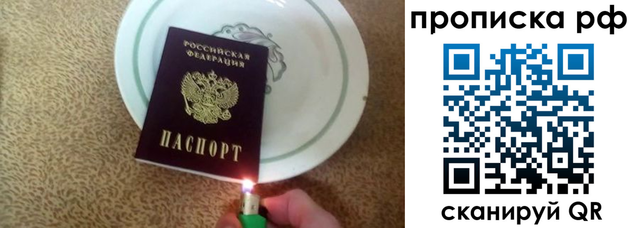 временная регистрация гарантия в Архангельске